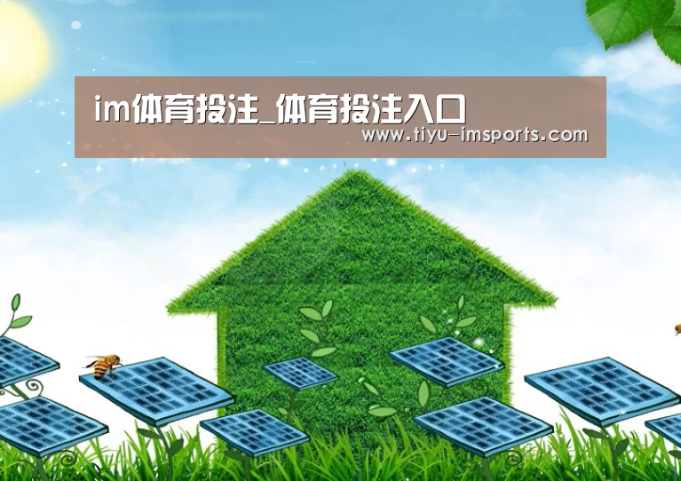 im体育投注公司