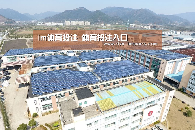 案例展示四