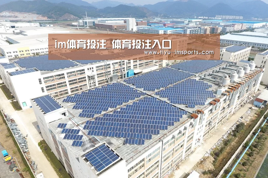 案例展示四