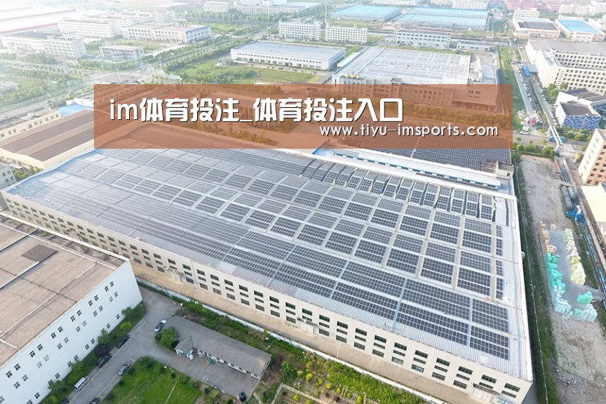 案例展示二