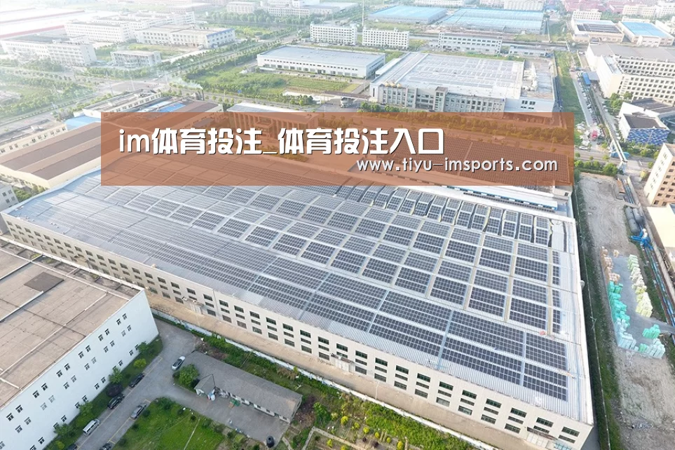案例展示三