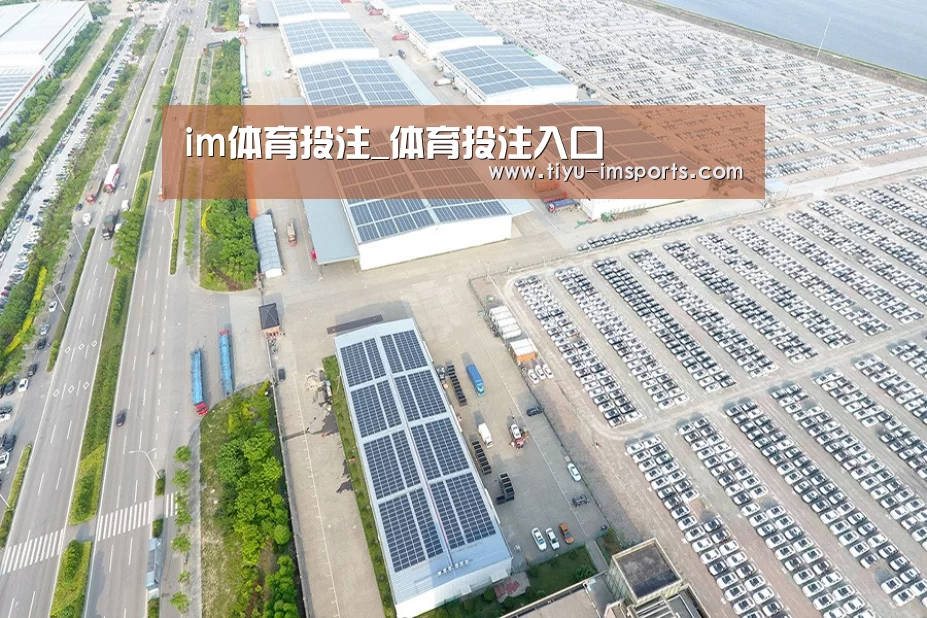 案例展示四