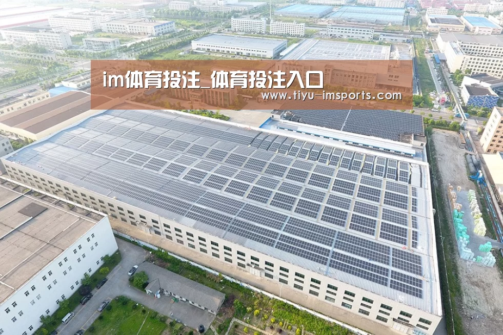 案例展示四