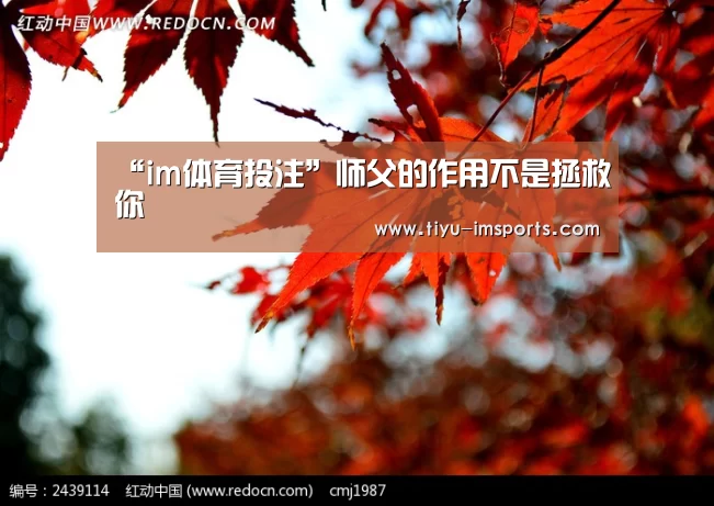 “im体育投注”师父的作用不是拯救你(图1) im体育投注