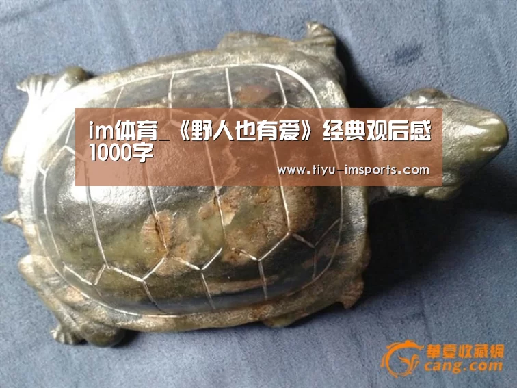 im体育_《野人也有爱》经典观后感1000字(图4) im体育