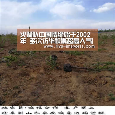 火箭队中国情缘始于2002年 多次访华积聚超高人气|im体育官网(图1) im体育官网