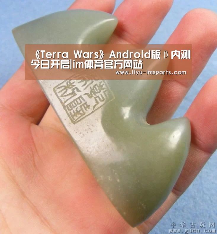 《Terra Wars》Android版β内测今日开启|im体育官方网站(图2) im体育