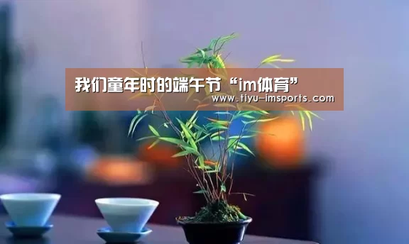 我们童年时的端午节“im体育”