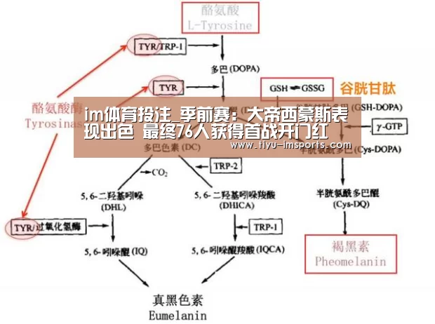 im体育官方网站
